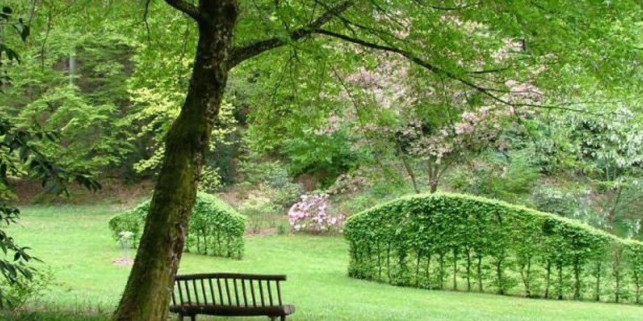 Arboretum de la Sédelle, Crozant, France, France